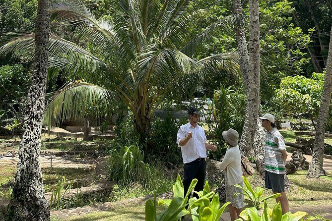 Maui Historical Island Tour - Limo Jonas pickup: what to expect when you start