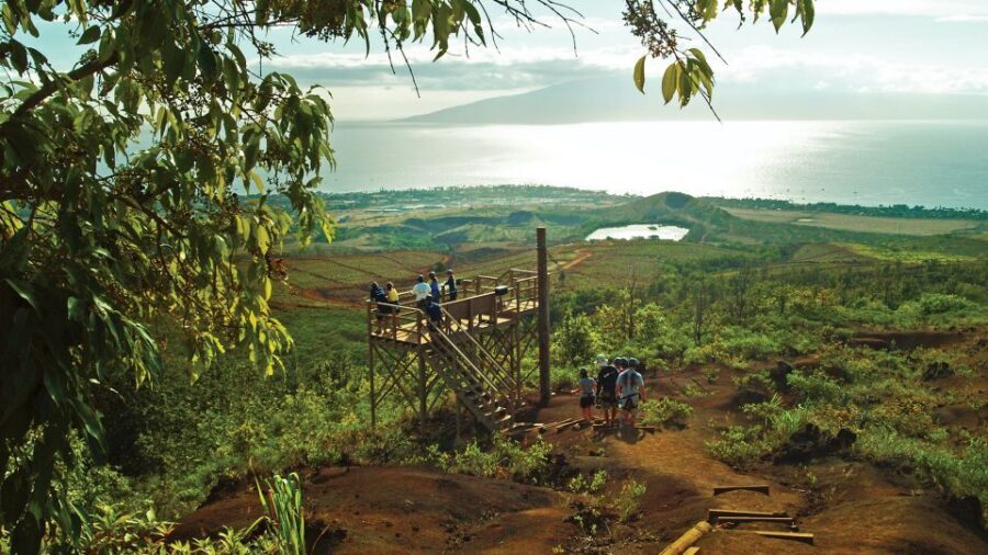 Maui: Ka'anapali 8 Line Zipline Adventure - The 2–3 Mile Hike and the Walks Between Lines
