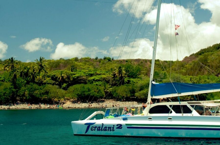 Maui: Kaanapali Beach 4-hour Snorkel w/ BBQ Lunch & Open Bar - Key Things That Make This Trip Work