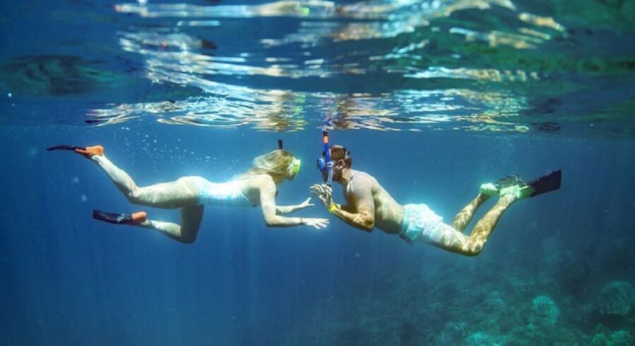 Maui: Kaanapali Beach 4-hour Snorkel w/ BBQ Lunch & Open Bar - Open Bar and the Ride Back: Drinks Without the Chaos