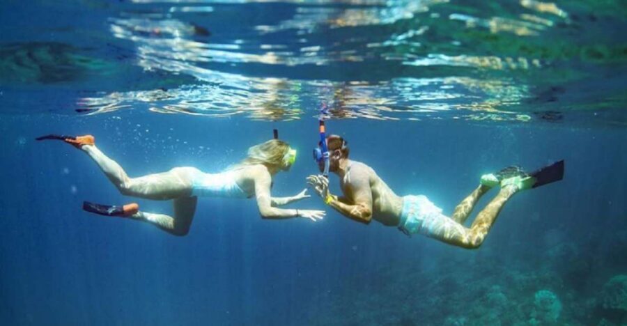 Maui: Kaanapali Beach 4-hour Snorkel w/ BBQ Lunch & Open Bar - Who This Tour Fits Best (And Who Might Want a Different Day)