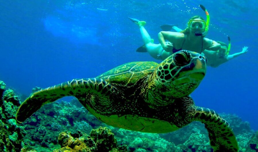 Maui: Kaanapali Beach 5-hr Snorkel w/ BBQ Lunch & Open Bar - The 5-hour plan: breakfast, gear-up, snorkeling stops, then BBQ on deck