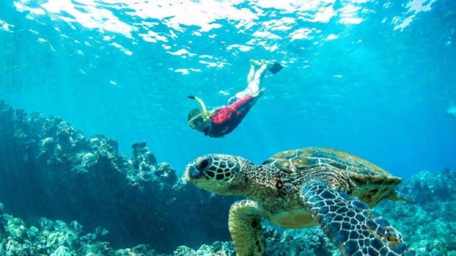 Maui: Kaanapali Beach 5-hr Snorkel w/ BBQ Lunch & Open Bar - Ocean cruising on a luxury catamaran (and how that affects your day)