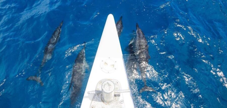 Maui: Kaanapali Beach 5-hr Snorkel w/ BBQ Lunch & Open Bar - Price and value: is $183 per person fair for this format?