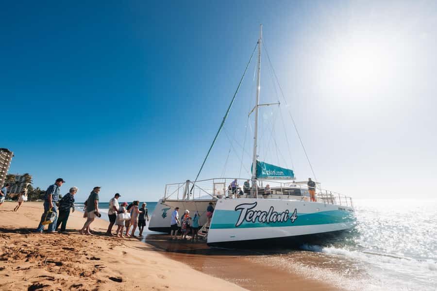 Maui: Ka'anapali Whale Watching Cruise on Luxury Sailboat - What you’ll likely spot: humpback whales, calves, and behavior