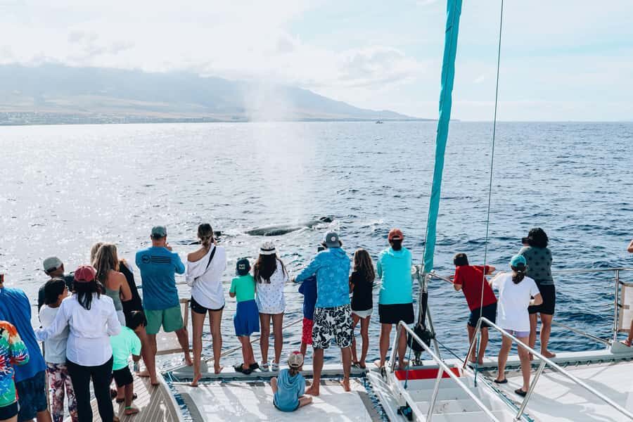 Maui: Ka'anapali Whale Watching Cruise on Luxury Sailboat - Comfort and deck time on a spacious catamaran