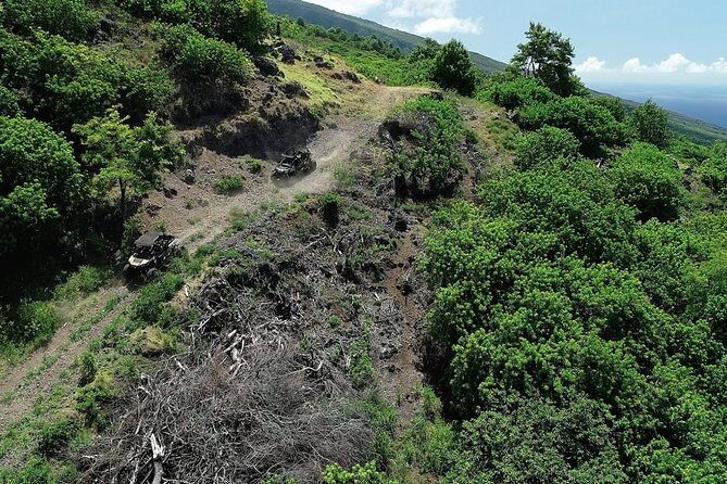 Maui: Lahaina ATV Adventure - Polaris RZR Four-Seater: Driving Rules and Family-Friendly Setup