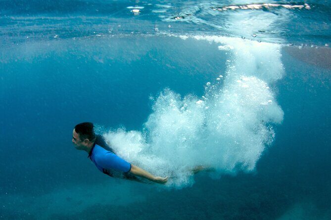 Maui Magic Adventure Snorkel: Molokini Crater and Turtle Stop - Wildlife Bonuses on the Return: Dolphins and Whales (Sometimes)
