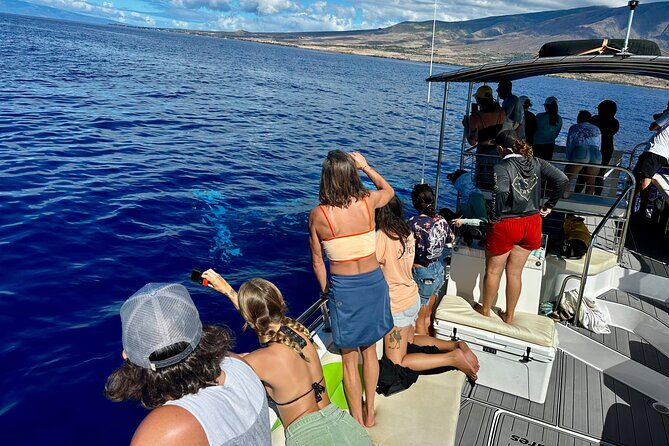 Maui Mid Day Magic Whale Watch - Maui Mid Day Magic Whale Watch: the 11:10am vibe and why it works