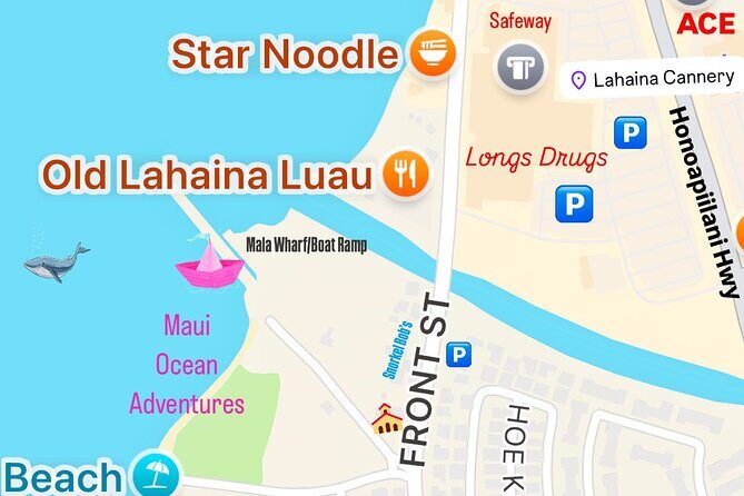 Maui Mid Day Magic Whale Watch - The boat setup: small group energy and fast, split-level viewing