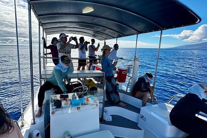 Maui Mid Day Magic Whale Watch - How the crew finds whales (and what “guaranteed sightings” means in practice)