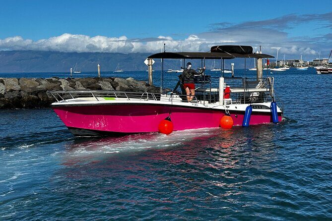 Maui Mid Day Magic Whale Watch - Whale watching etiquette: staying respectful while getting close