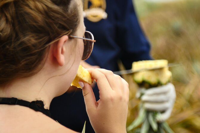 Maui Pineapple Farm Tour in Haliimaile - The Main Event in Hali’imaile: Working Pineapple Fields and Farming Lessons