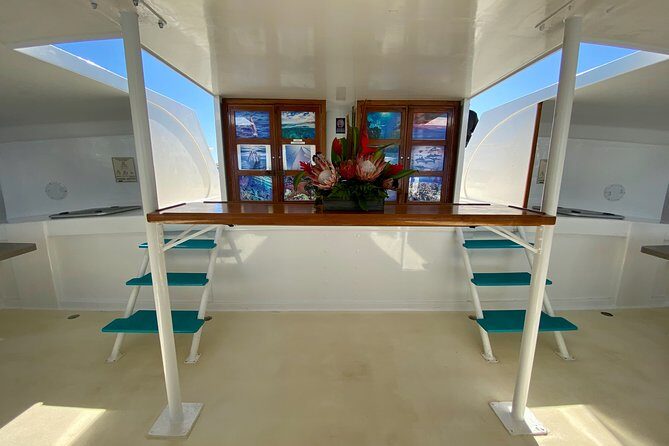 Maui Premium Sunset Dinner Cruise from Ka’anapali Beach - Whale watching season (Dec 15–Apr 15): what you can realistically hope for