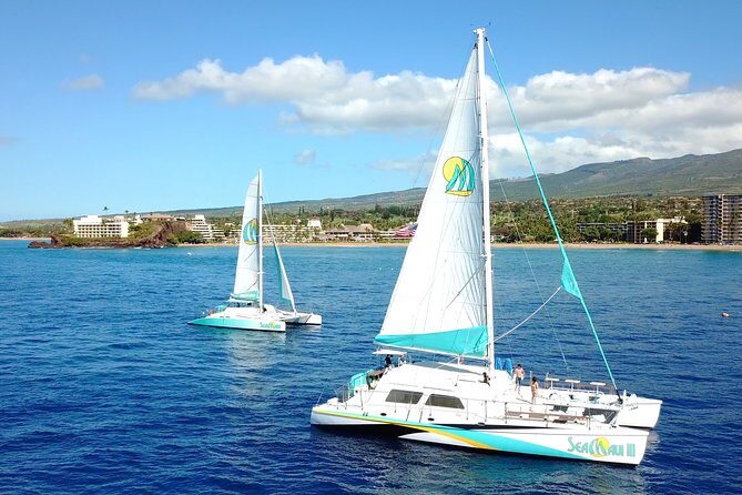 Maui Premium Sunset Dinner Cruise from Ka’anapali Beach - Dinner buffet and open bar: why this price can make sense