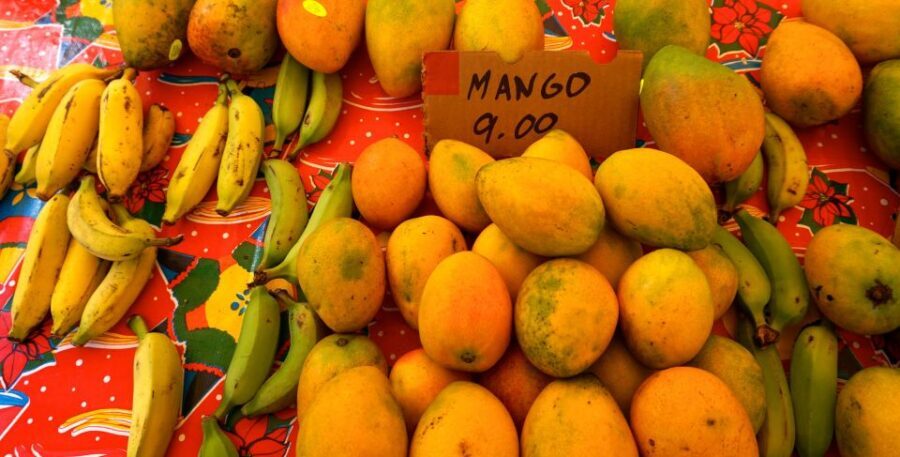 Maui: Private Guided Halfway to Hana Tour - Key things to look forward to