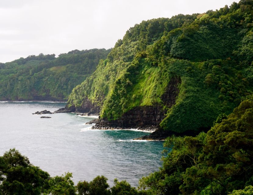 Maui: Private Guided Halfway to Hana Tour - Wailua Valley views and coastal tide pools