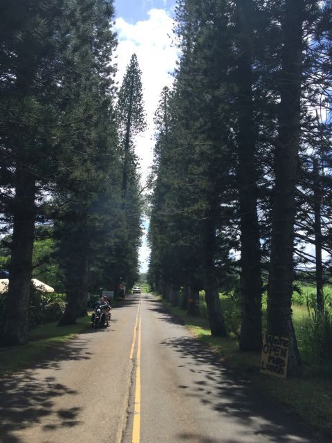 Maui : Private : Road to Hana Day Trip : Just For Your Group - Quick hits on this private Road to Hana day trip