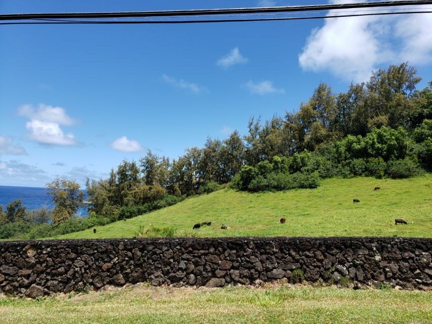 Maui : Private : Road to Hana Day Trip : Just For Your Group - Driving by the classics: bamboo forest, waterfalls, and the art of skipping