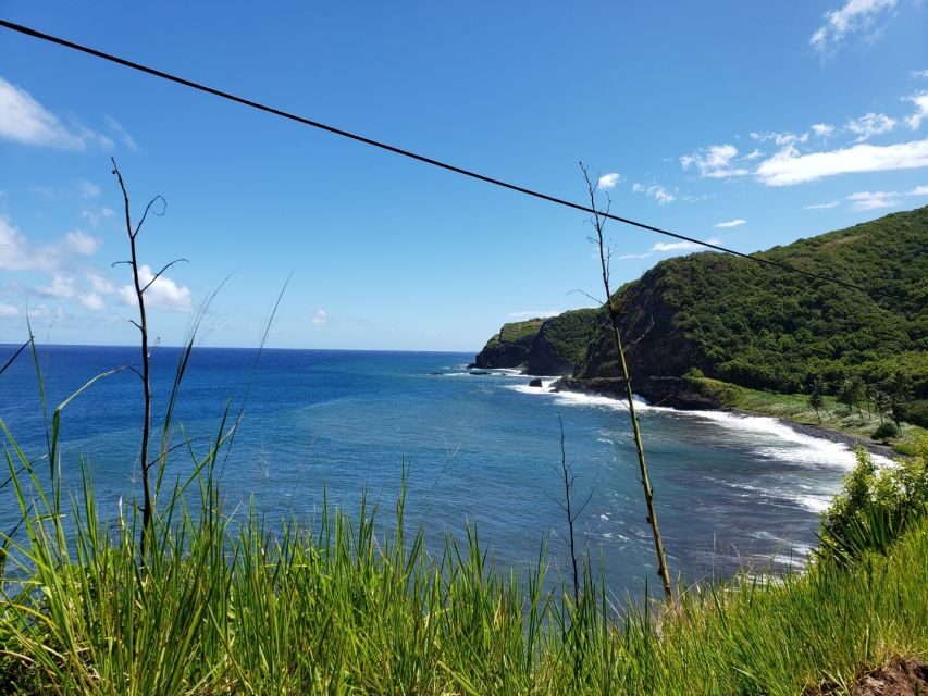 Maui : Private : Road to Hana Day Trip : Just For Your Group - Ho‘okipa Beach Park turtle watching: time well spent