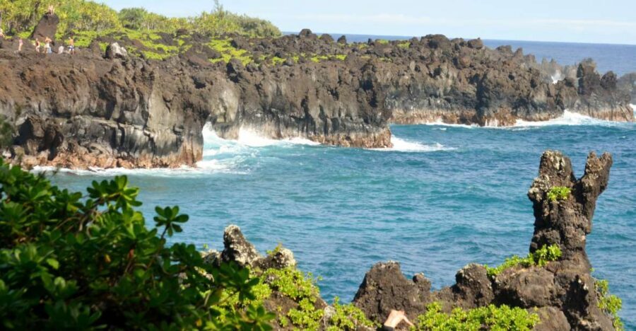 Maui : Private : Road to Hana Day Trip : Just For Your Group - Aunty Sandy’s and the Rainbow Eucalyptus: small stops, memorable roadside moments