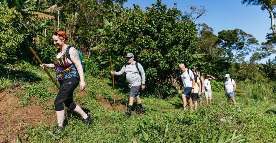Maui: Rainforest Waterfalls Guided Hike with Picnic Lunch - Key Highlights