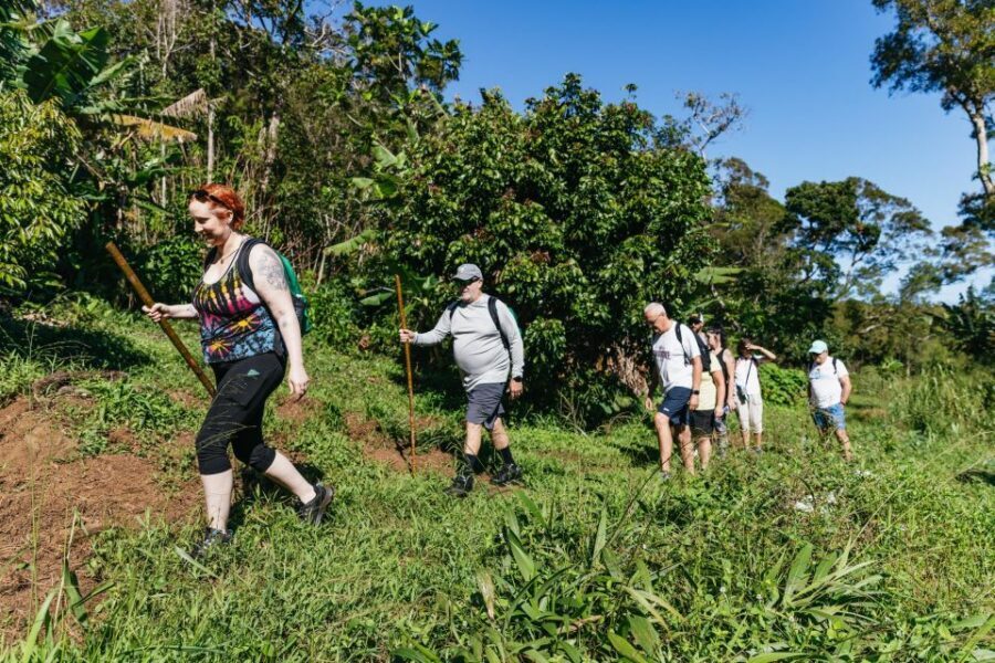 Maui: Rainforest Waterfalls Guided Hike with Picnic Lunch - The Naturalist Guide Part: Plants, Culture, and Seasonal Edible Treats