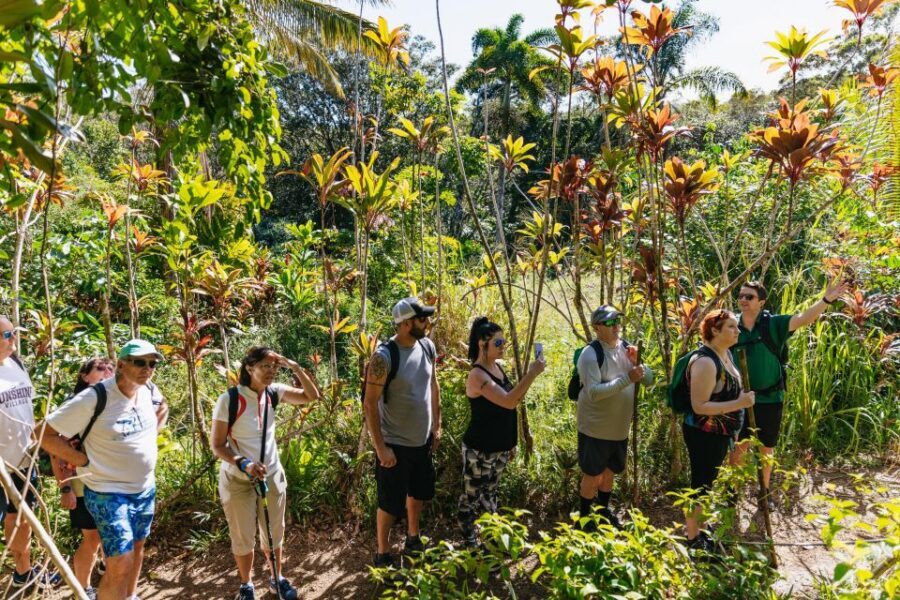 Maui: Rainforest Waterfalls Guided Hike with Picnic Lunch - What to Bring: Shoes That Grip, Swimwear, and the Stuff That Saves You Later