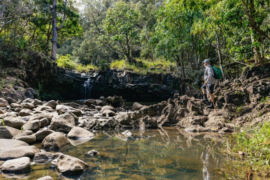 Maui: Rainforest Waterfalls Guided Hike with Picnic Lunch - Real Hike Conditions: Easy for Some, More Challenging for Others