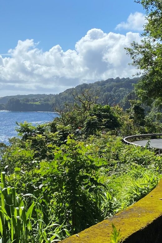 Maui: Road to Hana Private Adventure Tour with Luxury SUV - Kula and Ulupalakua: rolling hills, winery area, and early photo chances