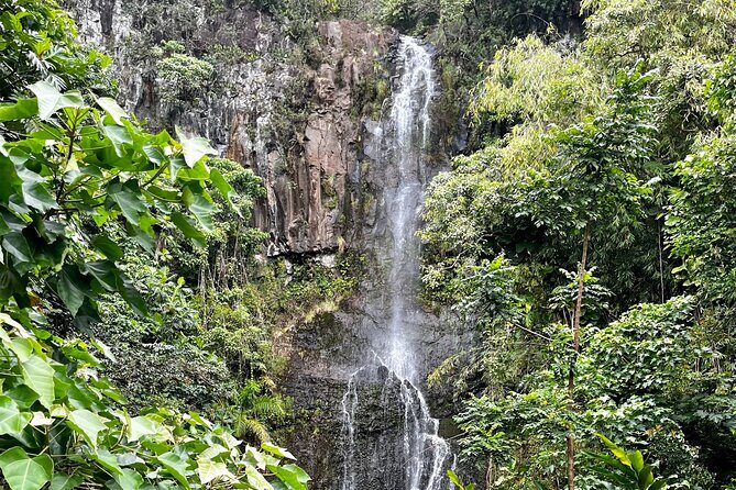 Maui Road to Hana VIP Private Tour in Convertible Bronco or Jeep - Convertible Bronco or Jeep: The Real Value of Top-Down Hana