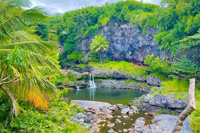 Maui Road to Hana VIP Private Tour in Convertible Bronco or Jeep - Hana Town Stop: Food Trucks, Farmers Markets, and Reset Time