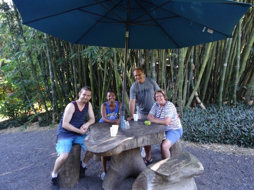 Maui: Road to Hana Waterfalls Tour with Lunch - Key Highlights You’ll Care About