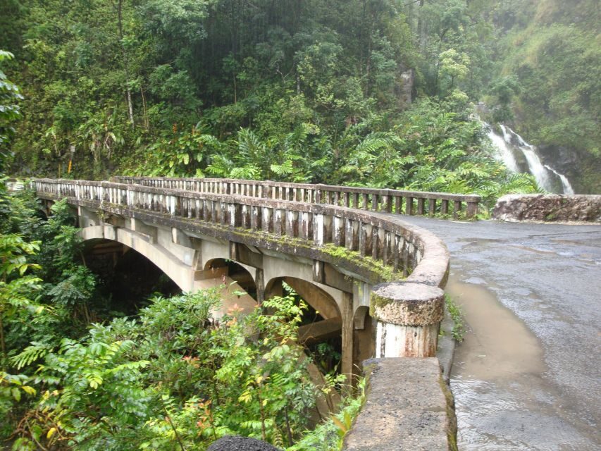 Maui: Road to Hana Waterfalls Tour with Lunch - Lunch by the Ocean: What You’ll Actually Like About It