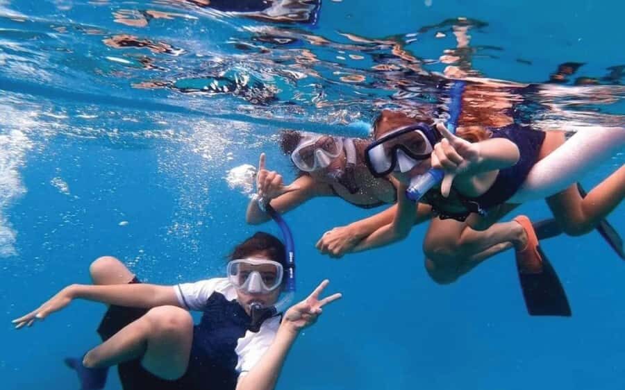Maui: Semi-Private 3 Hour Eco-Raft Turtle Snorkel Tour - Key reasons this tour works well