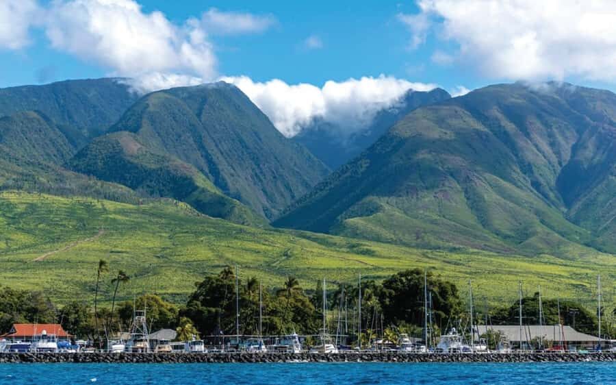Maui: Semi-Private 3 Hour Eco-Raft Turtle Snorkel Tour - Logistics That Actually Matter: Parking, What to Bring, What to Wear