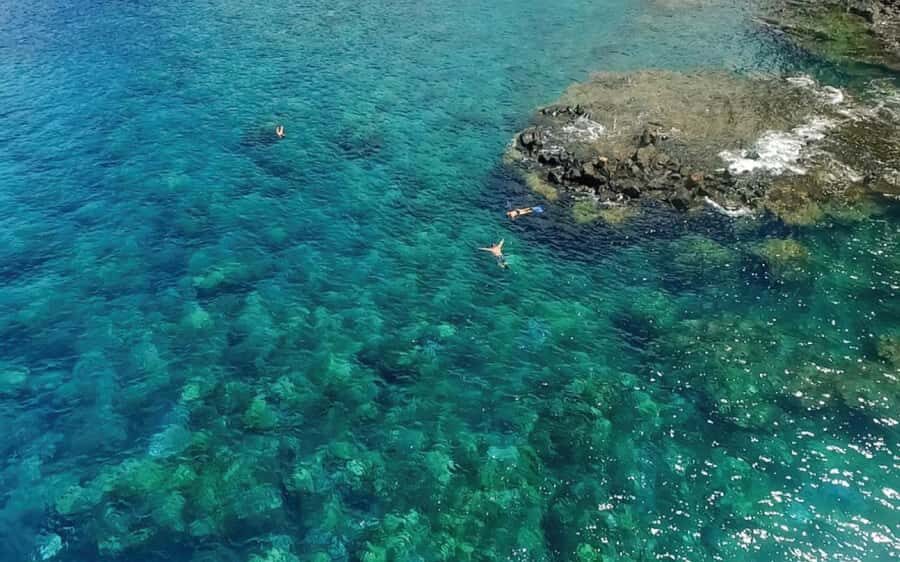 Maui: Semi-Private Eco-Raft Lanai Snorkel & Dolphin Tour - Lunch Between Snorkel Stops: Why the Break Matters More Than You Think