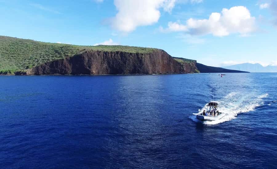 Maui: Semi-Private Eco-Raft Lanai Snorkel & Dolphin Tour - Price and Logistics: Is $204 Worth It on Maui?