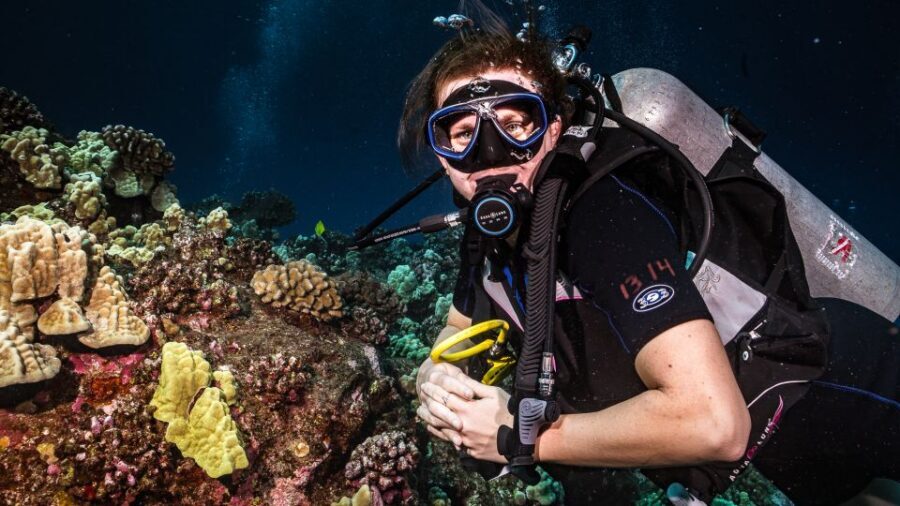 Maui: Small Group Shark & Turtle Scuba Dive from Shore - Equipment and what you still need to bring