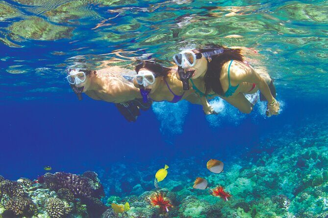 Maui Snorkel and Sunset Sail - Key Points You’ll Care About