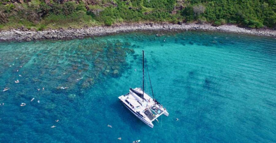 Maui: Snorkeling and Sailing Adventure with Buffet Lunch - Honolua Bay Marine Reserve: Snorkeling That’s About Real Sea Life