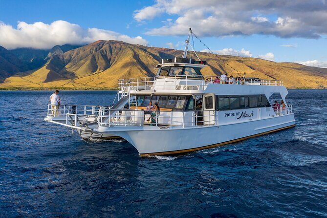 Maui Sunset Dinner Cruise - A Hawaiian Hula Experience - Buffet dinner and open bar: where the value comes from