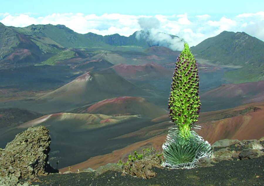 Maui: Sunset & Dinner Tour to Haleakala National Park - Haleakalā National Park: visiting the summit area before the sky changes
