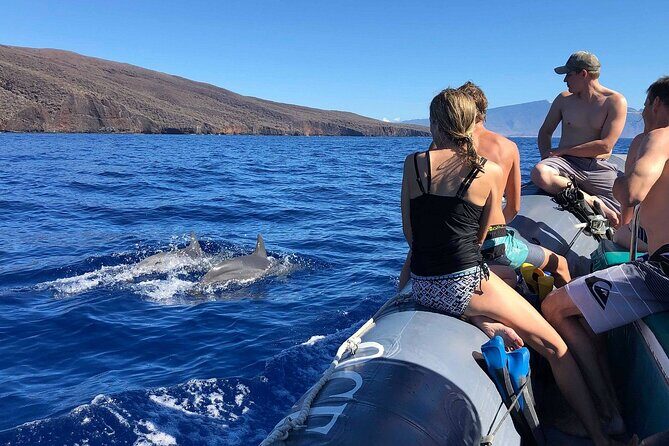 Maui to Lanai Semi-Private Eco Raft Snorkel & Dolphin Tour - Value check: is $96.52 worth it for Maui-to-Lanai snorkeling?