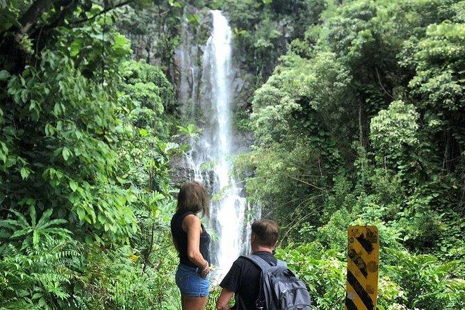 Maui Tour : Road to Hana Day Trip from Kahului Lunch, Water, Chip - Wailua Waterfall Circuit: Where the Photos Get Serious