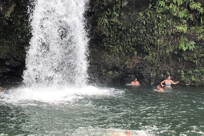 Maui Tour : Road to Hana Day Trip from Kahului Lunch, Water, Chip - Pricing and Value: Is $199.99 Worth It?