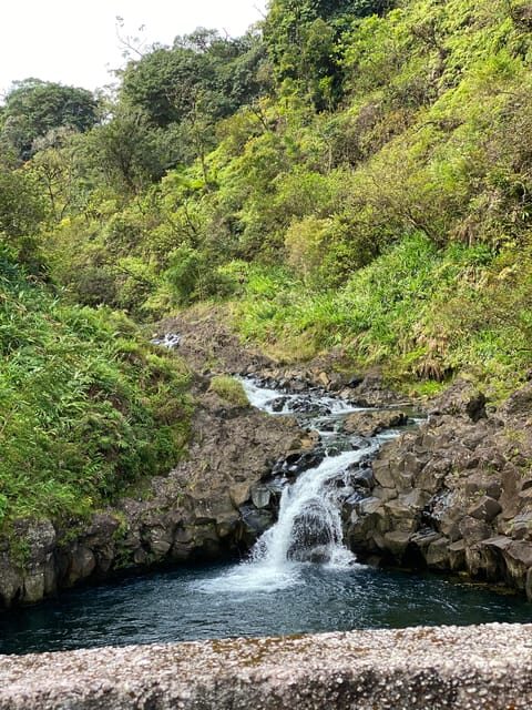 Maui: Van Day Trip to Hana with Local Guide and Lunch - Price and What You Get for $210