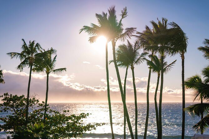 Maui: Wailele Luau with Fire and Knife Performance and Dinner - Ticket value: admission plus a full dinner and drinks