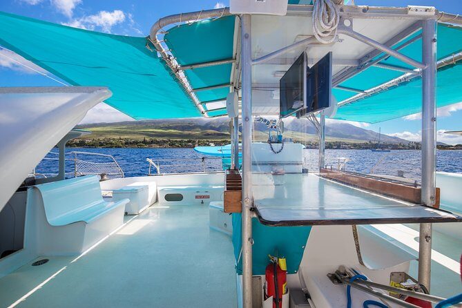 Maui: Whale Watching Cruise with Open Bar from Ka'anapali Beach - Open bar and snacks: fun value, with one trade-off