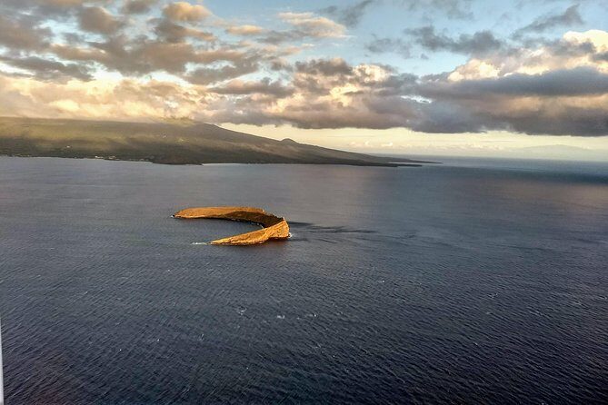 Maui Whale Watching -PRIVATE- Air Tour: (2-5 People): SEE WHALES! - Should you book this Maui private whale watching air tour?